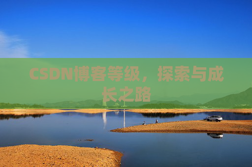 CSDN博客等级,探索与成长之路